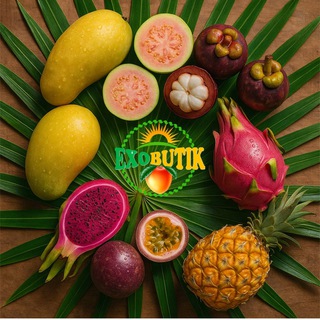 Exobutik