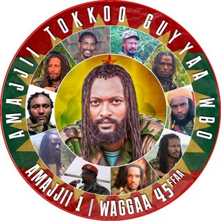 Qarree Network