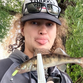 curlygotcha