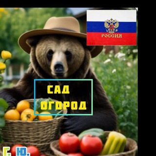 ❤️ Сад, огород ❤️