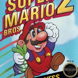 Super mario brothers 2 everyday