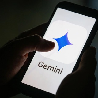 gemini交流群