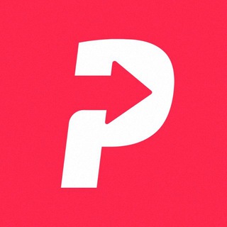 Pingo Cargo