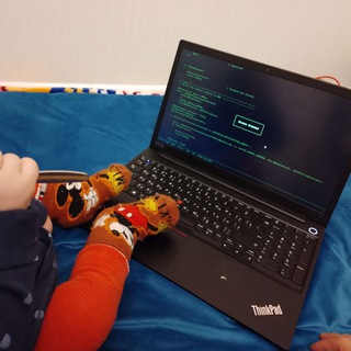 Malware, Cats and Cryptography