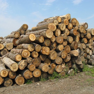 MC-Market Logs