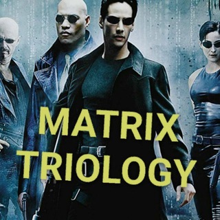 The Matrix Trilogy Hindi English Collection