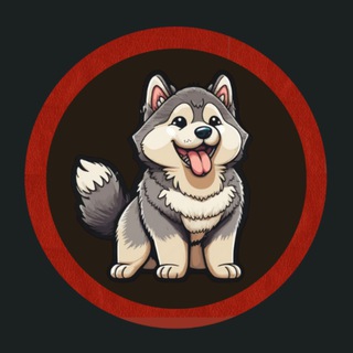 Malamute Inu 🐩🐩