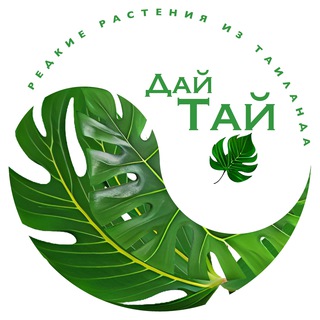 ДайТай