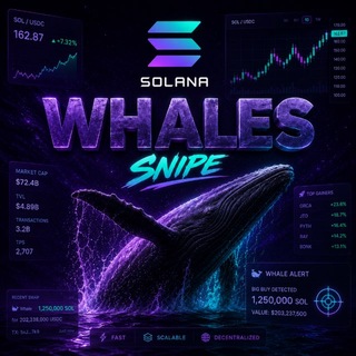 WHALES 🐳