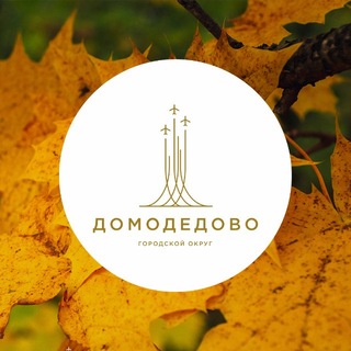Администрация г. о. Домодедово ✔