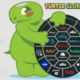 NakedTurtle Account Shop