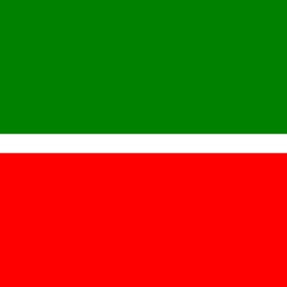 Погибшие из Татарстана