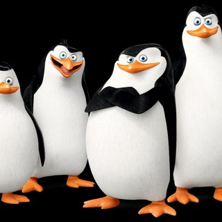 PENGUINS OF MADAGASCAR