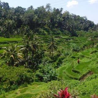 Tripsly | Visual Travel Blog & Itineraries