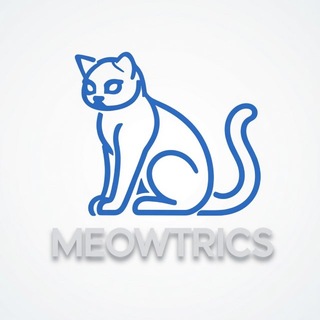 Olya | HR Meowtrics