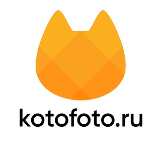Kotofoto 🔸 Котофото 🔸 добрый магазин