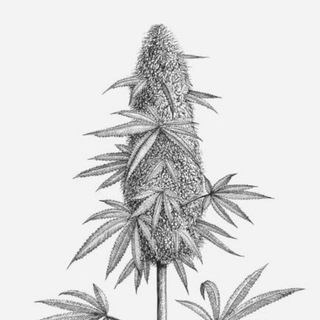 Grow Guides | Archive
