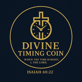 Divine Timing Coin-Official