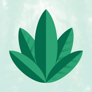 Jungle Testnet for Vaulta (formerly EOS), Antelope, Spring 🌱