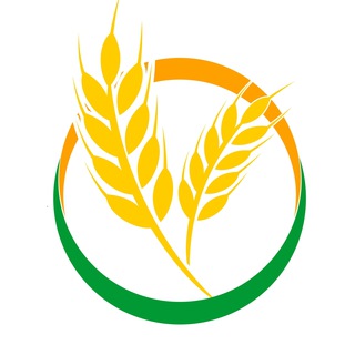 Новости РСХБ