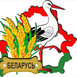 Чат общения